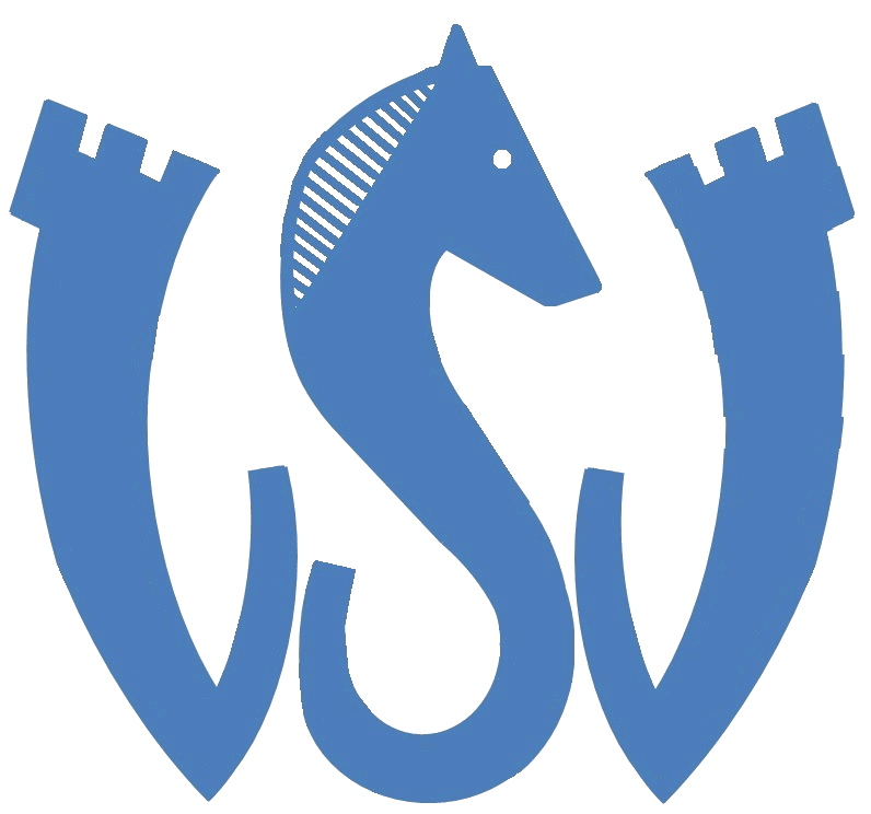 VSV